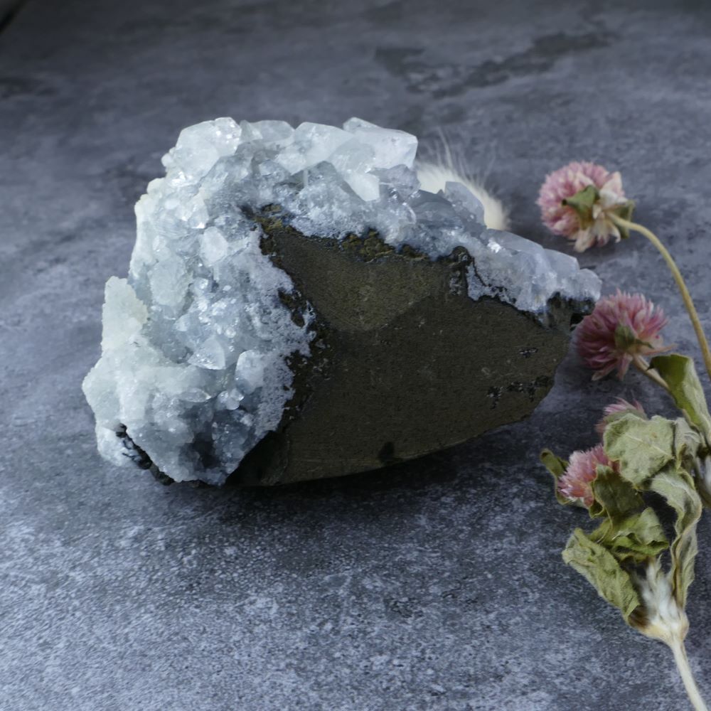 Meditation & Peace (Large Apophyllite & Chalcedony): Dumi's Crystals. Enhances focus & inner calm (Approx 3.7cm long).