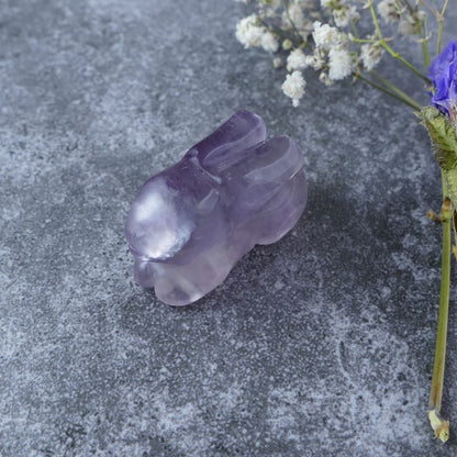 Dumi's Crystals | Fluorite Bunny Carving (Whimsical Focus):  A playful Fluorite Crystal Bunny Carving, a reminder to focus with a touch of whimsy. Fluorite enhances mental clarity & intuition. This bunny invites creativity & a joyful approach to life. Ethically sourced crystals from Dumi's Crystals.