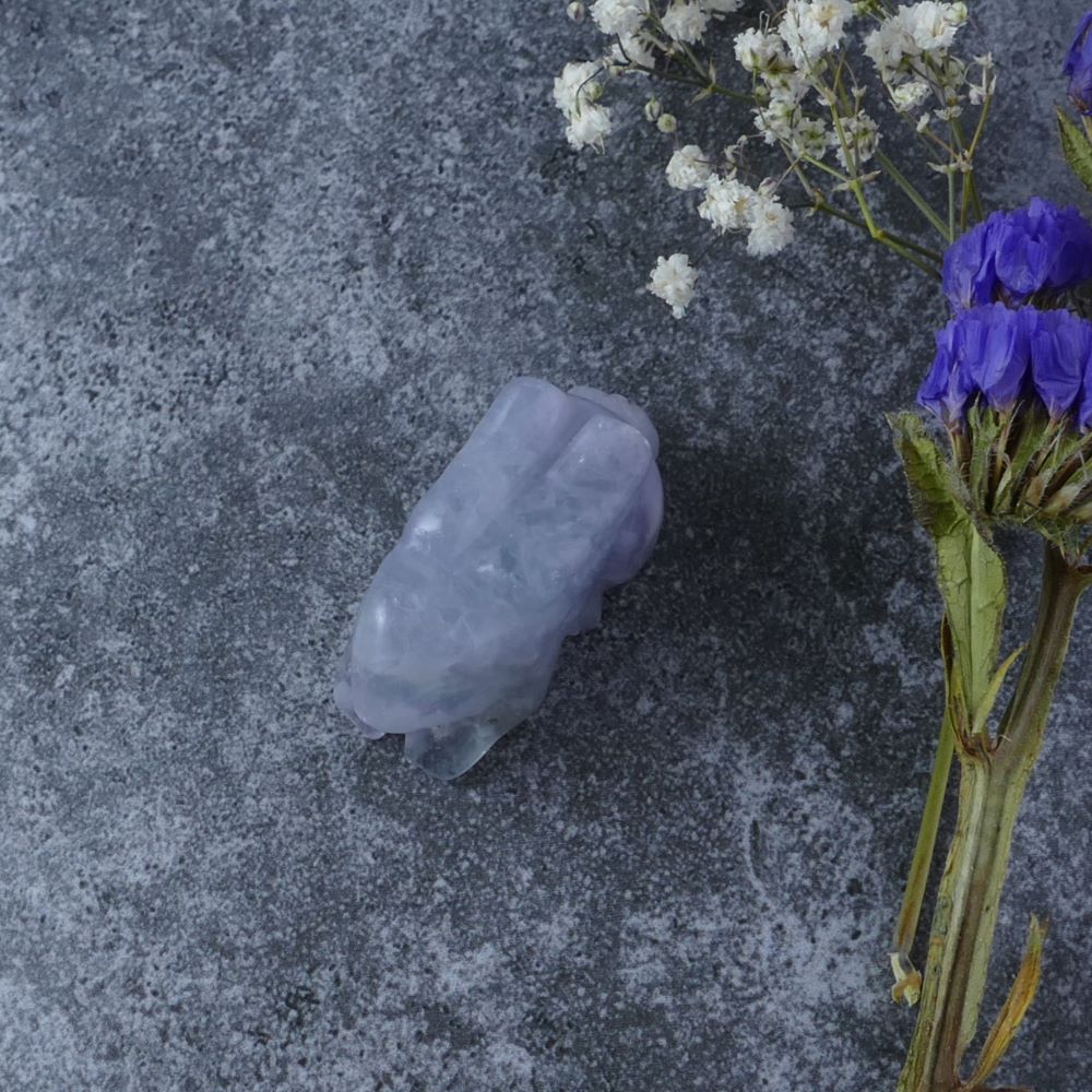 Dumi's Crystals | Fluorite Bunny Carving (Protective Shield): A Fluorite Crystal Bunny Carving, a shimmering shield against negativity. Fluorite, the "Genius Stone," promotes mental clarity & emotional stability. This bunny protects & empowers your inner wisdom. Ethically sourced crystals from Dumi's Crystals.