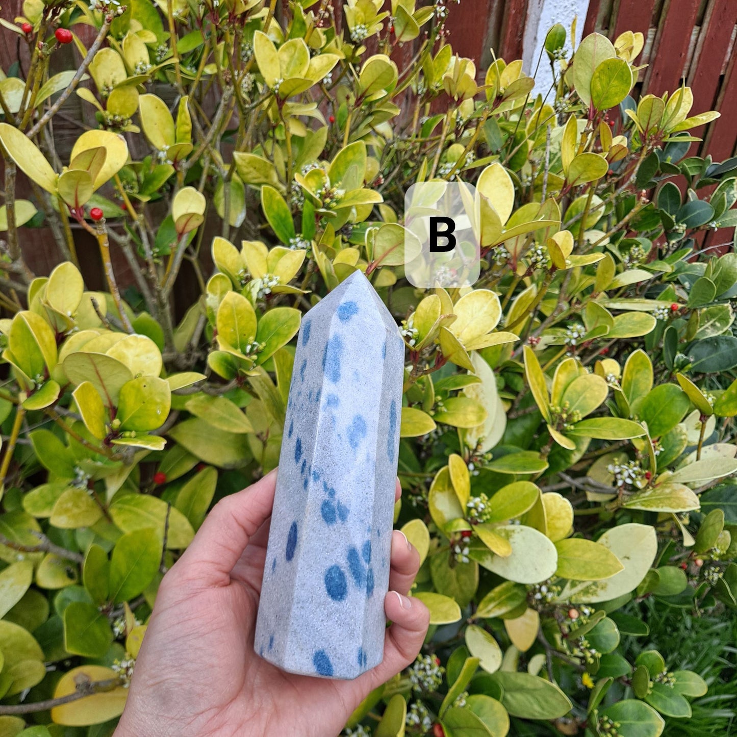 Apatite & Cleavelandite Synergy (Tower): Dumi's Crystals (625g). Height: 16cm. Enhances creativity, intuition & spiritual growth. Each unique piece inspires.
