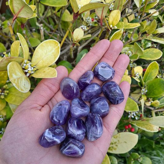 Dumi's Crystals | Light Amethyst Tumbled Stone (Peace & Clarity) | A Light Amethyst Tumbled Stone radiates calming lavender hues. Known for promoting peace, clarity, and spiritual growth, hold it during meditation or carry it for emotional balance and focus.