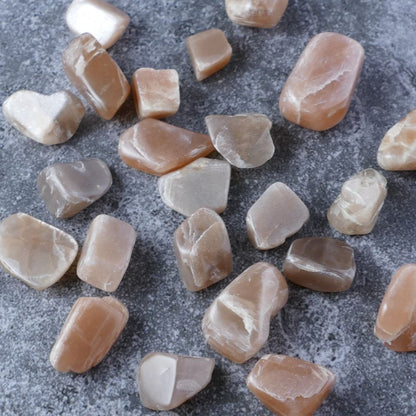 Soft Peach Moonstone chips for peace & intuition (1-2.5cm) | Dumi's Crystals | Enhance your emotional well-being, tap into your intuition, and embark on a journey of self-discovery with these genuine Peach Moonstone chips. Ranging from 1 to 2.5 centimeters, these chips promote inner peace, clarity, and a gentle release of emotional burdens.