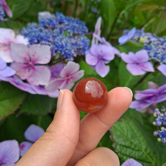 Dumi's Crystals | Red Agate Mini Sphere (20mm) | A close-up view of a captivating Red Agate Mini Sphere (20mm), showcasing its vibrant red hue. This gemstone, known for its grounding energy, is believed to promote stability, inner peace, and emotional healing.