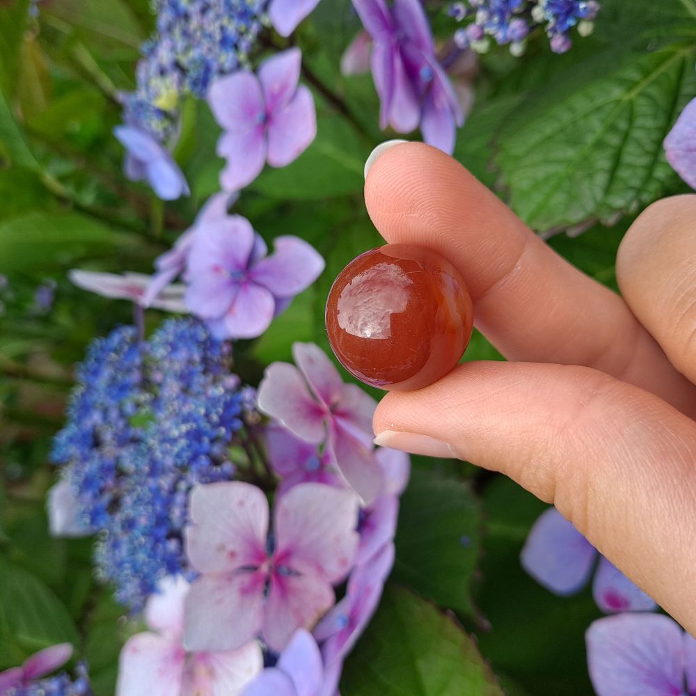  Dumi's Crystals | Red Agate Mini Sphere (20mm) | A close-up view of a captivating Red Agate Mini Sphere (20mm), showcasing its vibrant red hue. This gemstone, known for its grounding energy, is believed to promote stability, inner peace, and emotional healing.