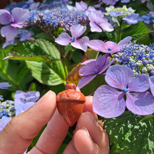 Dumi's Crystals Red Jasper Acorn Carving (26x20mm): Unleash inner fire & tap into the earth's energy. Red Jasper fosters strength, growth & a sense of belonging.
