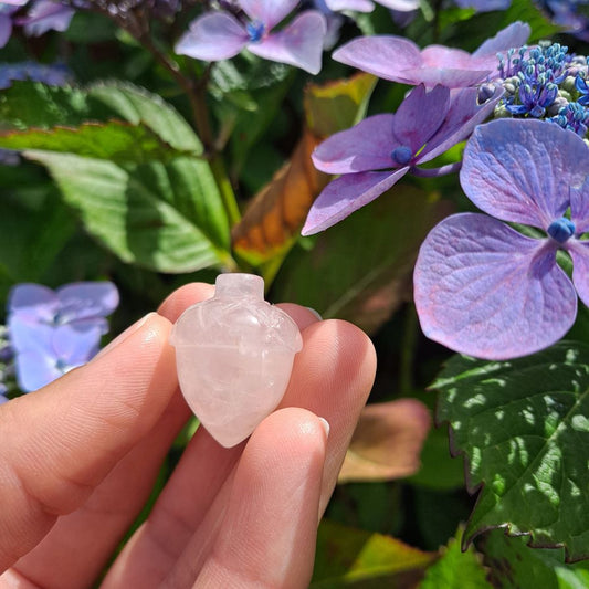 Dumi's Crystals Rose Quartz Acorn Carving (26x20mm): A symbol of love & growth, perfect for carrying or displaying for a touch of nurturing energy.