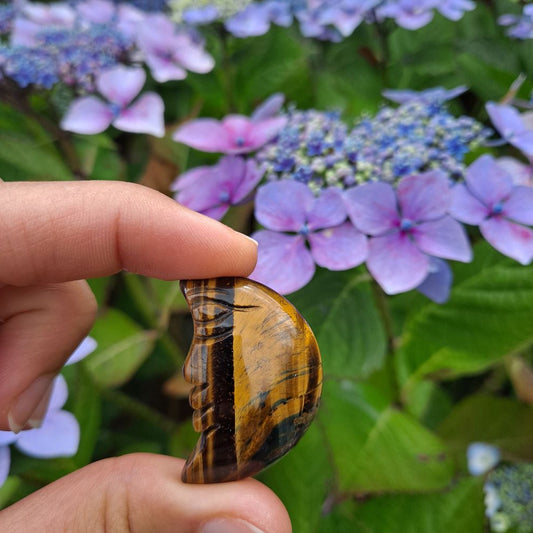 Dumi's Crystals Tiger's Eye Moon Face Carving (34x20x6mm): Channel inner strength & unwavering focus with this celestial charm. Promotes courage & protection.
