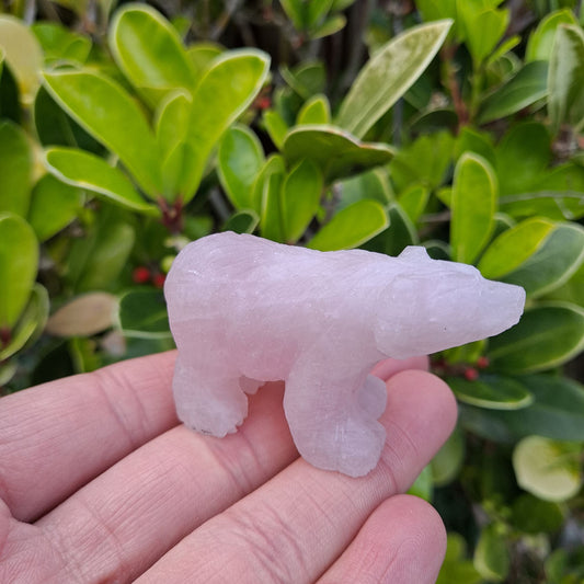 Dumi's Crystals | Rose Quartz Mini Bear Carving (Tiny Guardian):  A delightful Rose Quartz Mini Bear Carving, a symbol of love and peace. Crafted from genuine rose quartz with delicate fur details, this bear promotes self-love, forgiveness, & emotional healing. Embrace tranquility with Dumi's Crystals (ethically sourced).