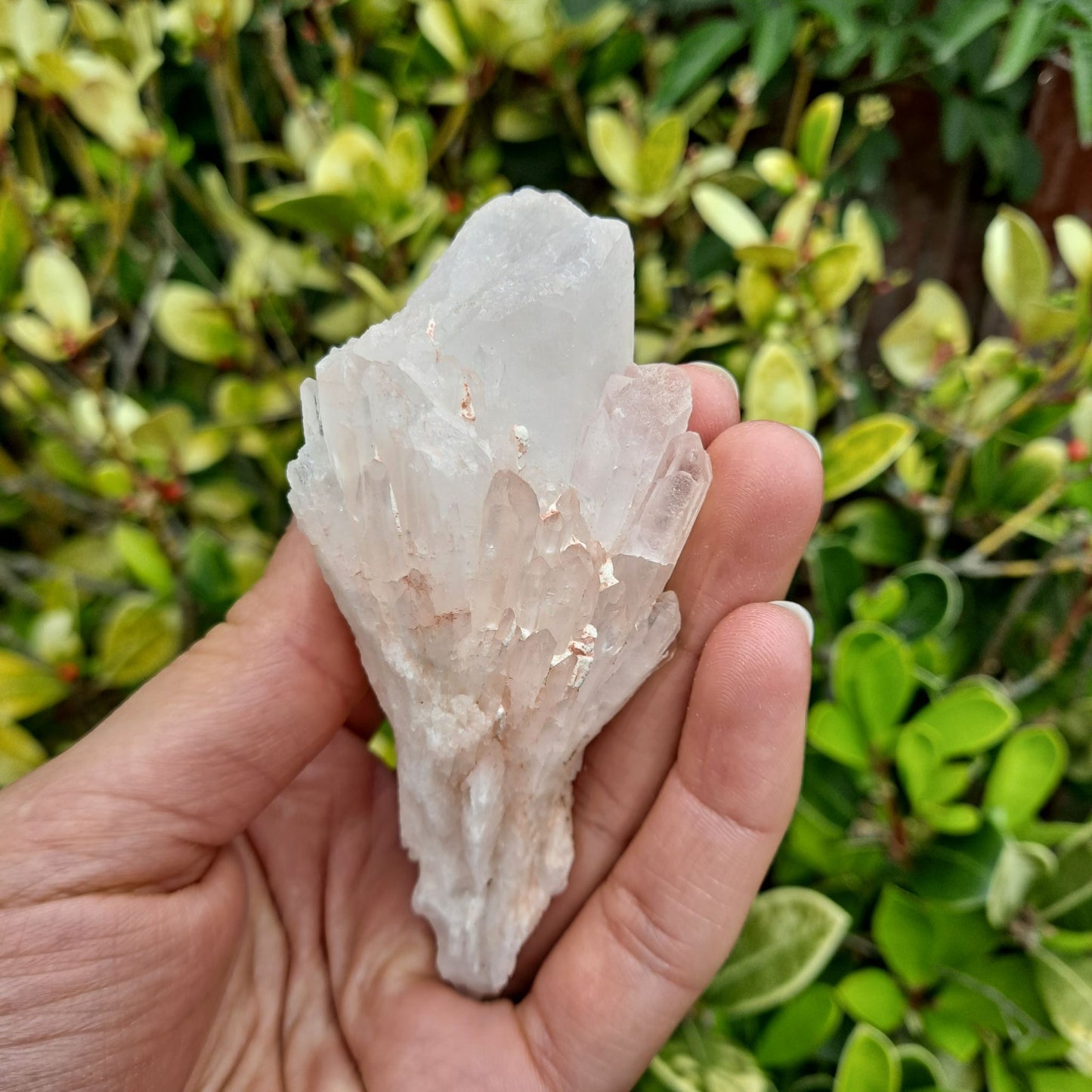 Dumi's Crystals Pineapple Quartz Cluster (Candle Quartz) - Uplift your spirit & illuminate your path. This unique cluster (1.6" x 1.8" x 4") brings clarity & peace.