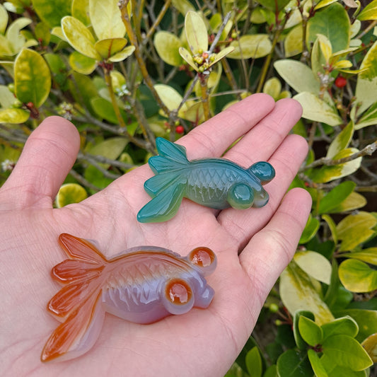 Embrace the Flow: Dumi's Crystals Agate Goldfish Carvings. Unique agate stones for inner peace, good fortune, and a touch of zen.