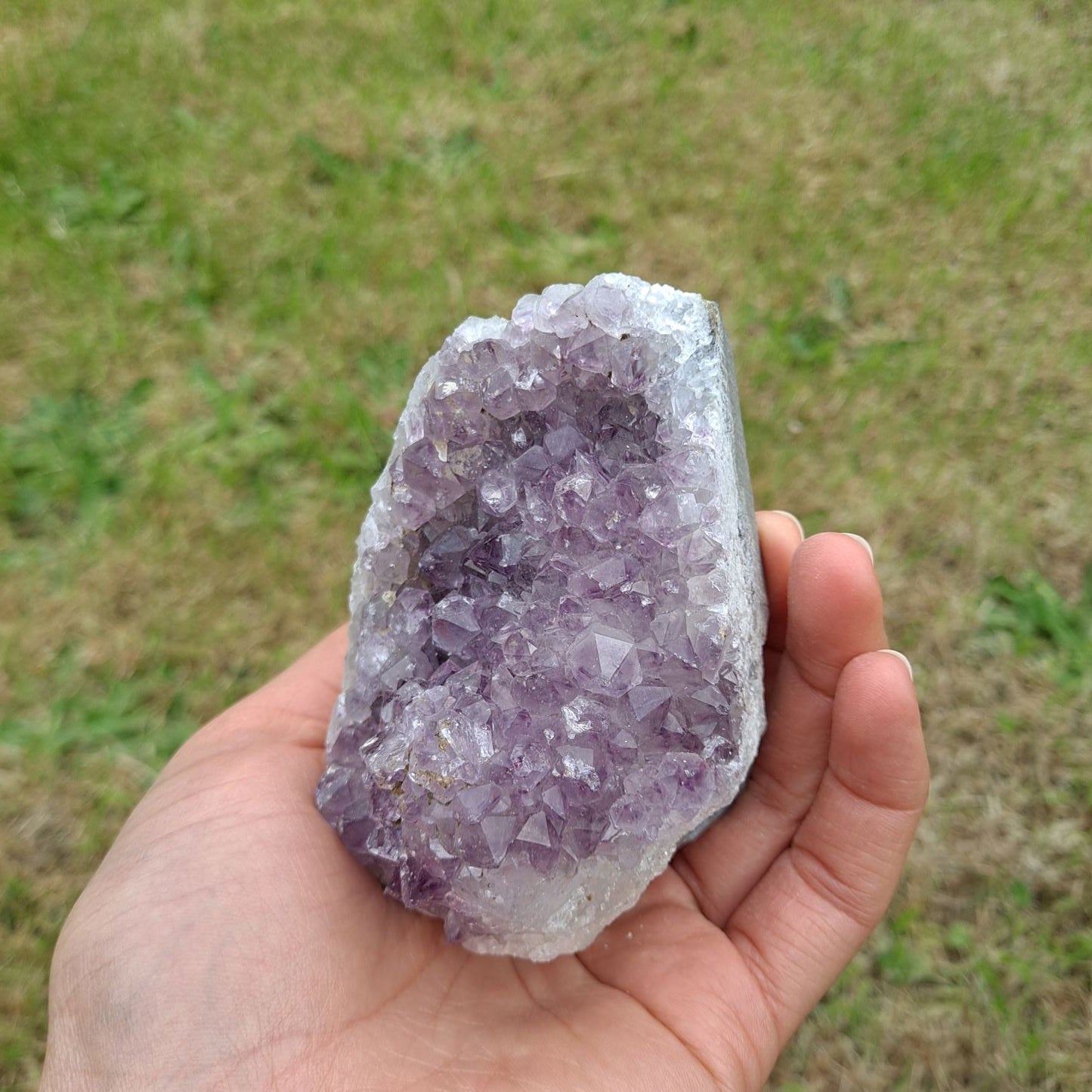 Dumi's Crystals | Lavender Amethyst Cluster (8.9 x 6.3 x 6.3cm) | Holding a Lavender Amethyst Cluster (8.9 x 6.3 x 6.3cm) in your hand. Let its gentle energy wash over you, promoting relaxation, inner peace, and spiritual connection.