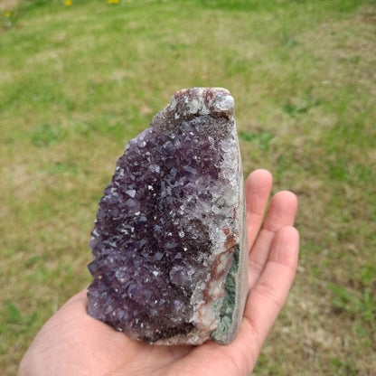  Dumi's Crystals | Amethyst Cluster (10.6cm, Striking) resting in palm 