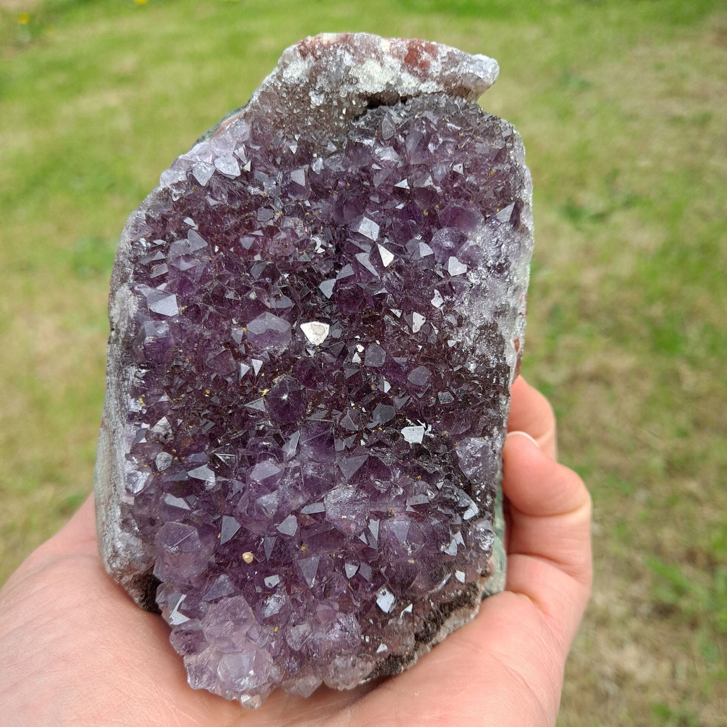 Dumi's Crystals | Amethyst Cluster (10.6cm, Striking) held in hand | Hold the captivating energy of Amethyst in your palm. This Amethyst Cluster (10.6 x 6.3 x 6.9cm) offers a comfortable size for holding during meditation or carrying with you throughout the day to promote peace and focus.