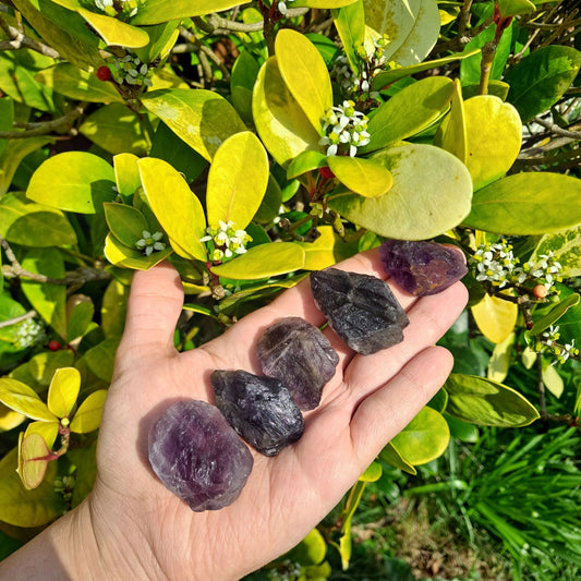 Dumi's Crystals | Rough Amethyst Crystals (Protection & Growth) | A handful of Rough Amethyst Crystals, each a unique expression of raw beauty. Renowned for offering spiritual protection, promoting emotional balance & intuition, hold them during meditation or carry them throughout the day to cultivate inner peace, connect with your higher self & embark on a journey of spiritual growth.
