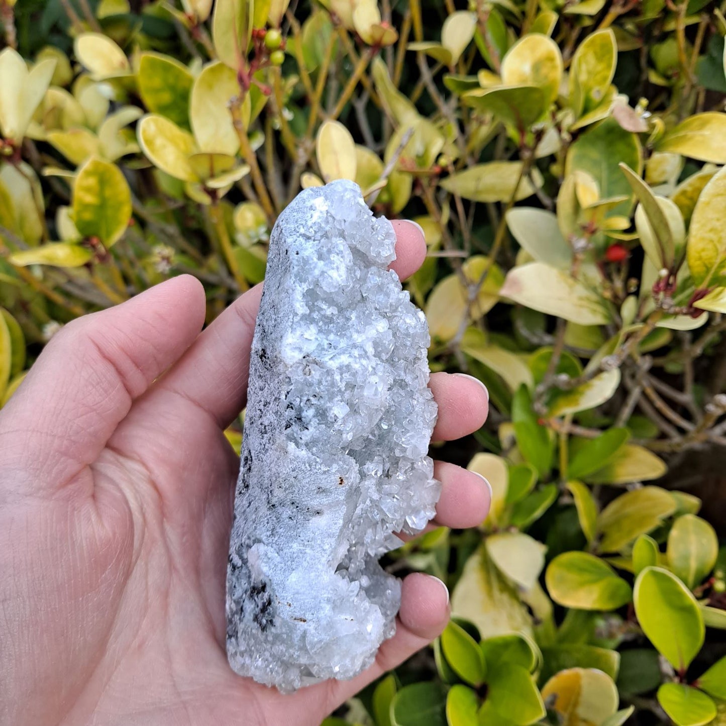 apophyllite cluster healing crystals dumiscrystals
