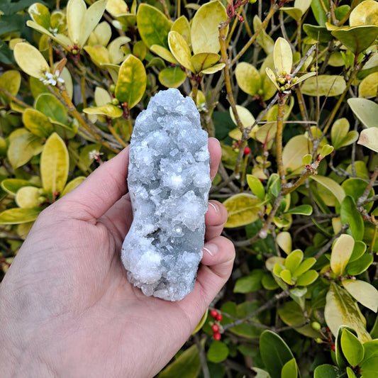 apophyllite cluster healing crystals dumiscrystals
