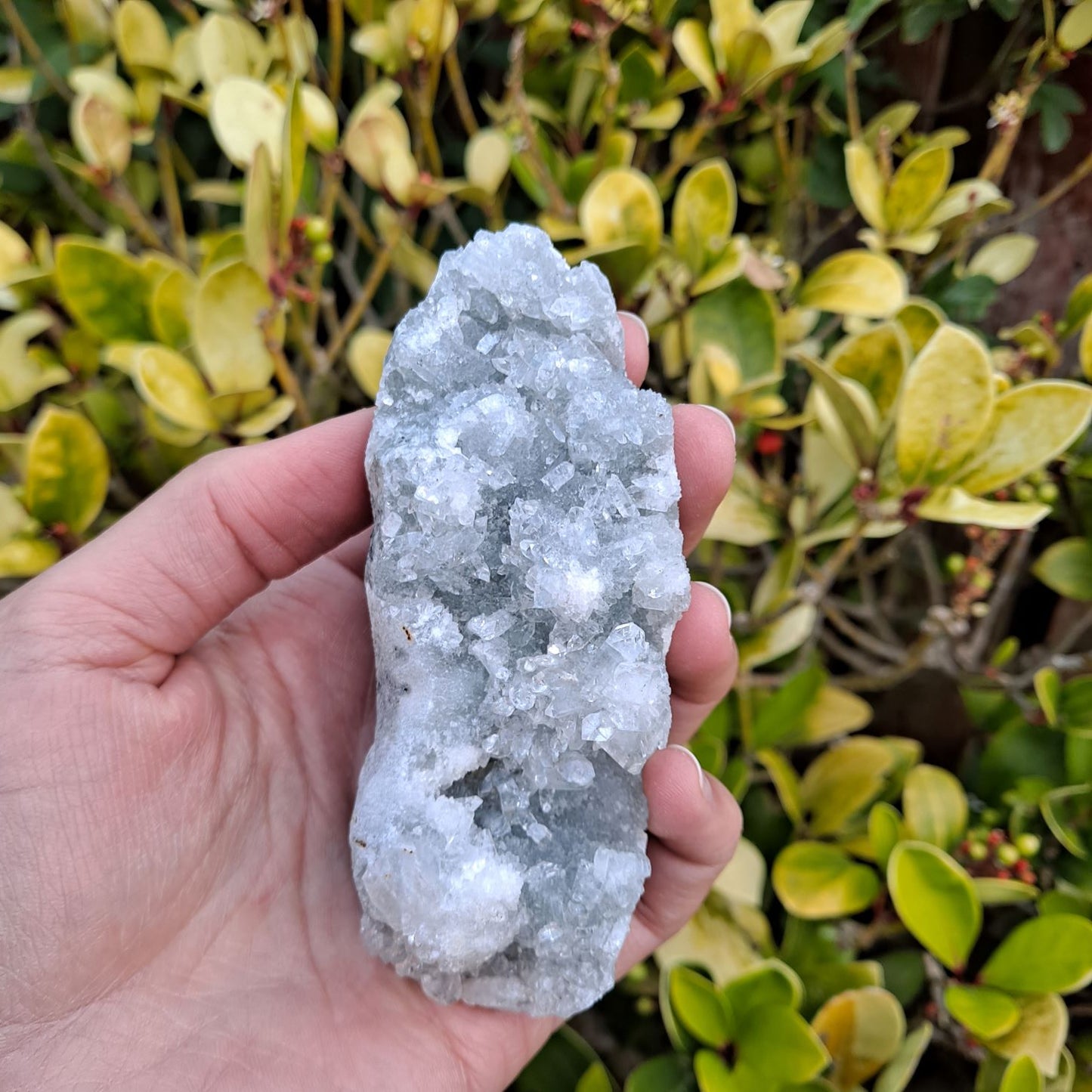 apophyllite cluster healing crystals dumiscrystals