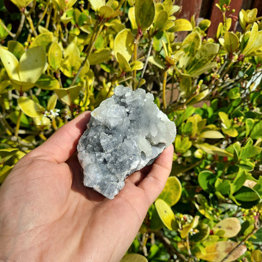 apophyllite cluster healing crystals dumiscrystals