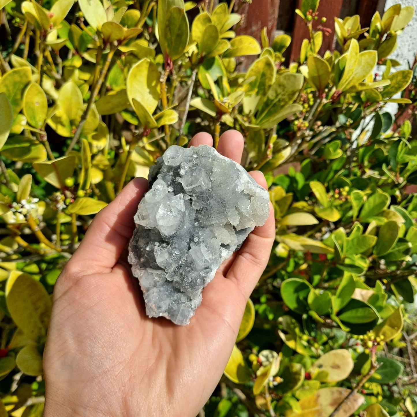 apophyllite cluster healing crystals dumiscrystals