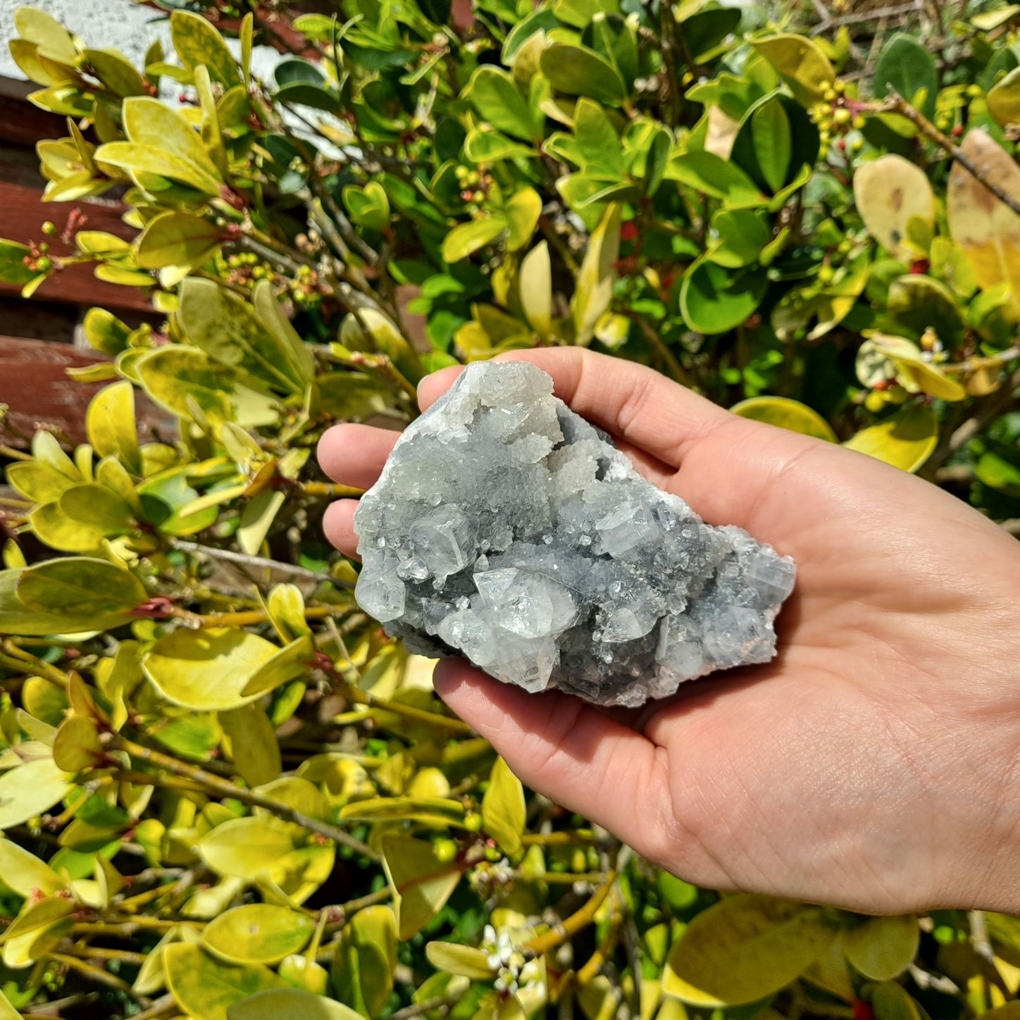 apophyllite cluster healing crystals dumiscrystals