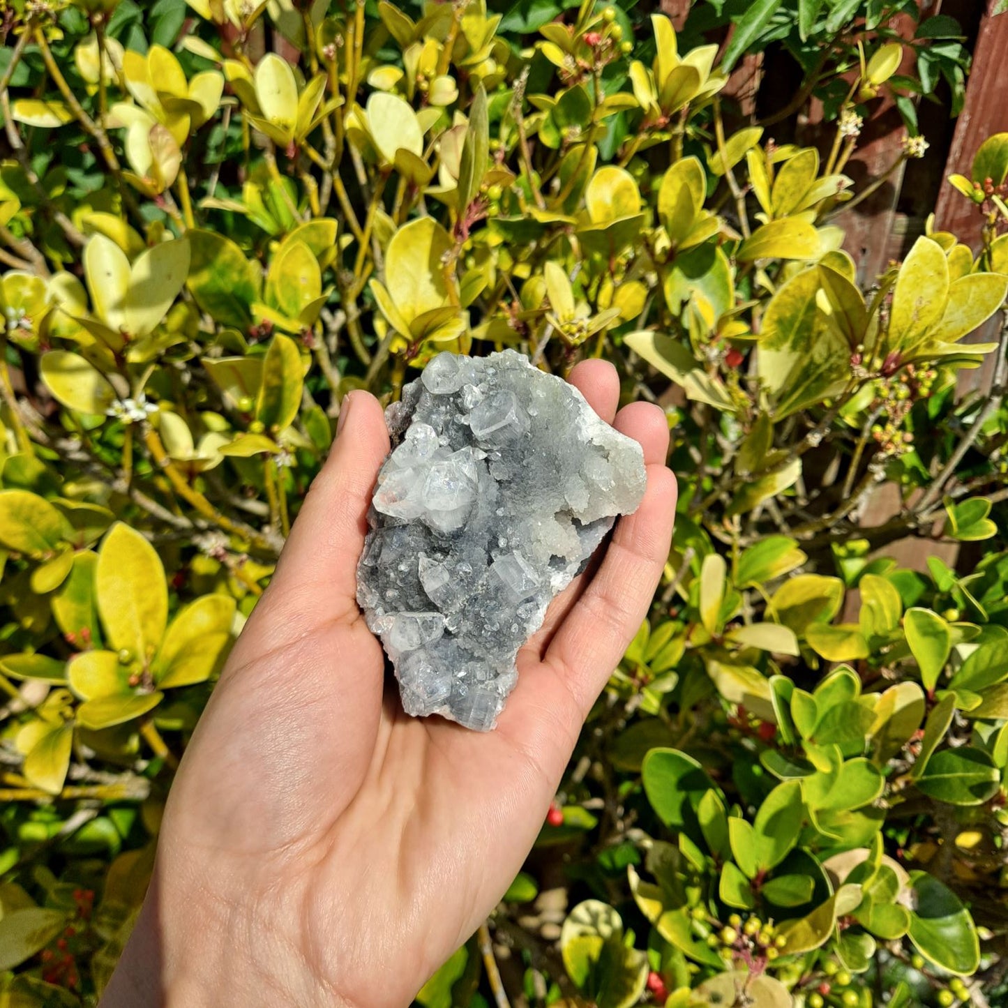 apophyllite cluster healing crystals dumiscrystals
