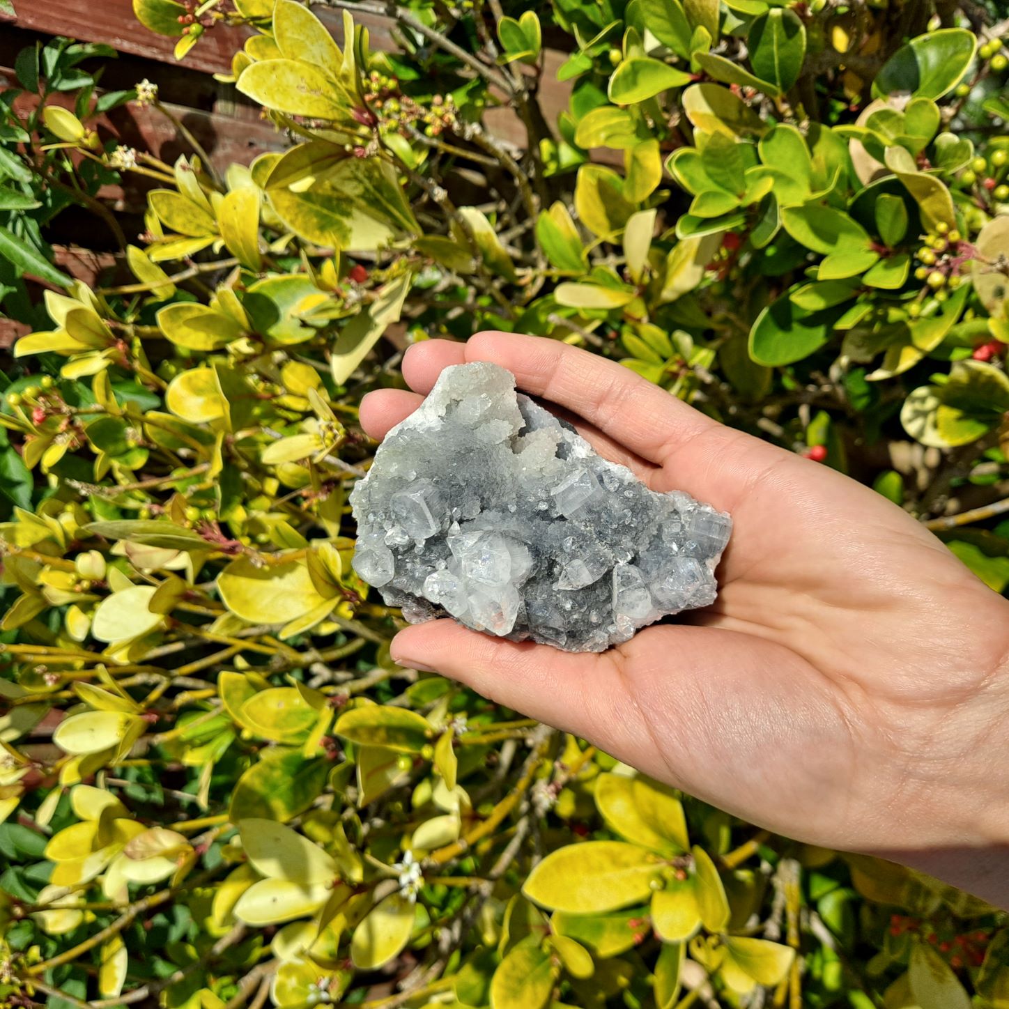 apophyllite cluster healing crystals dumiscrystals
