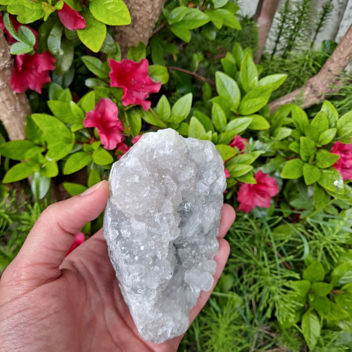 Energy Clearing Crystal (Apophyllite Cluster): Dumi's Crystals. Promotes positive energy flow (Approx 4.7cm tall).