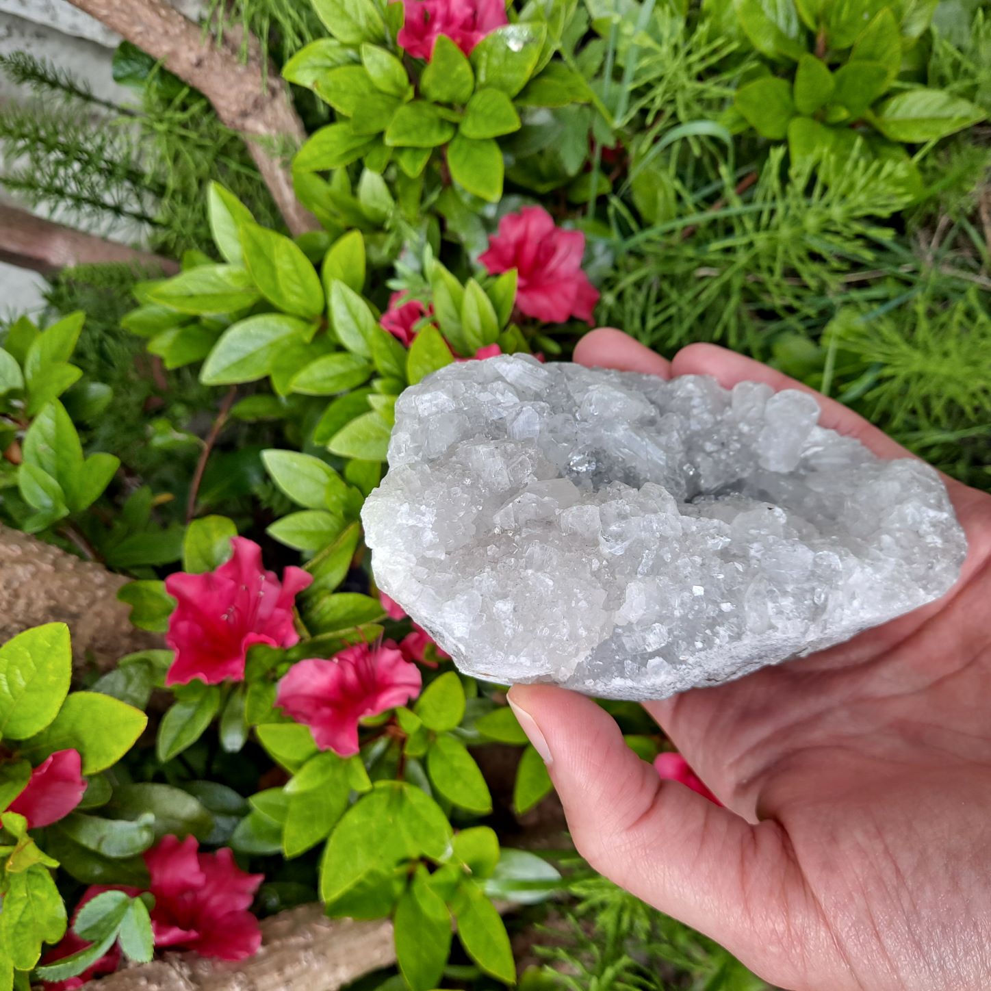 Energy Clearing Crystal (Apophyllite Cluster): Dumi's Crystals. Promotes positive energy flow (Approx 4.7cm tall).