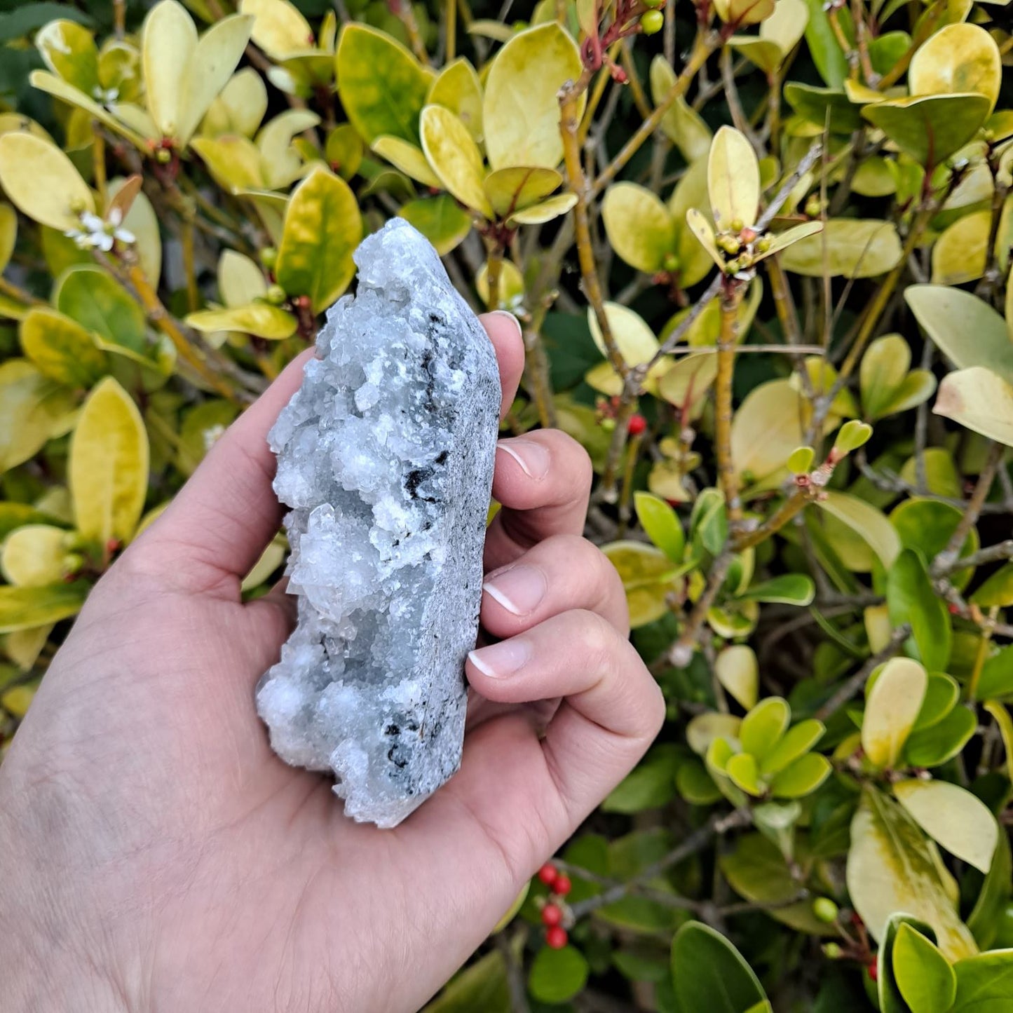 apophyllite cluster healing crystals dumiscrystals