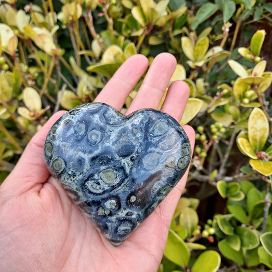 Dumi's Crystals | Large Kambaba Jasper Heart Carving (Strength & Tranquility): A captivating close-up of a large Kambaba Jasper Heart Carving, showcasing its rich green hues and orbicular patterns. This impressive "Supreme Nurturer" radiates grounding energy & emotional balance. Embrace strength & peace with Dumi's Crystals (ethically sourced).