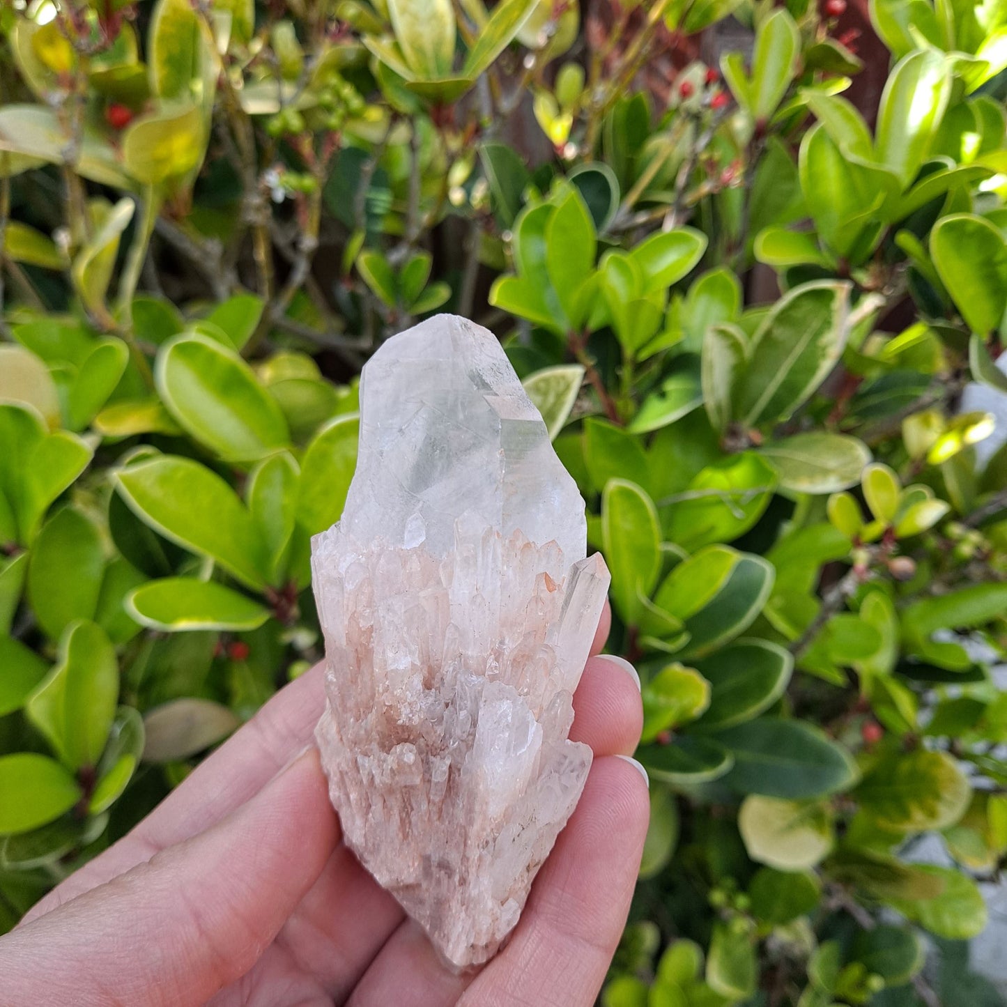 Dumi's Crystals Pineapple Quartz Cluster (Candle Quartz) - Attract abundance & inner peace (3.8cm x 4.6cm x 10cm). Each unique cluster fosters clarity.