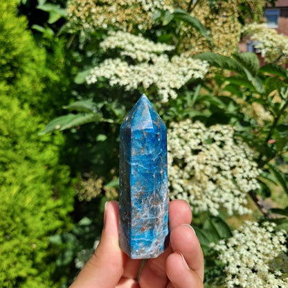 Find Your Voice with Blue Apatite Tower | Dumi's Crystals | This Blue Apatite Tower (6-10cm) radiates vibrant energy. Blue Apatite is thought to stimulate the throat chakra, promoting clear communication, creative expression, and manifestation.