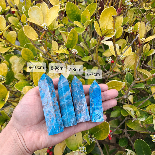 Dumi's Crystals | Blue Apatite Towers (6-10cm) | A collection of captivating Blue Apatite Towers (6-10cm) in various sizes (6-7cm, 7-8cm, 8-9cm, 9-10cm). Blue Apatite is believed to enhance communication, self-expression, and creativity. Choose the perfect size for your needs!