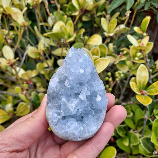 celestite egg healing crystals geode dumiscrystals