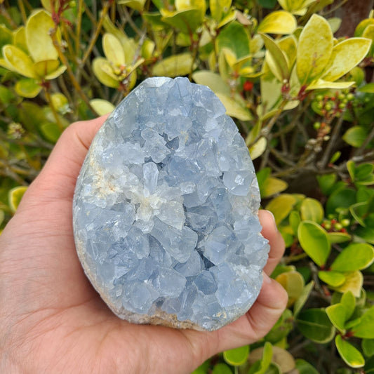 celestite egg healing crystals geode dumiscrystals