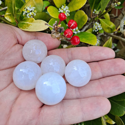 Dumi's Crystals | Milky Quartz Spheres (25mm) | A collection of captivating Milky Quartz Spheres (25mm), each with unique veiling and a soft luster. Their substantial presence is perfect for meditation, crystal grids, or adorning your altar. Each sphere is believed to promote clarity, inner peace, and spiritual awakening.
