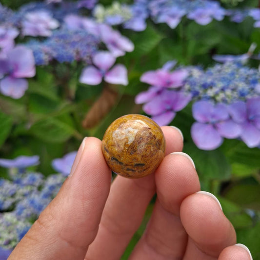 Dumi's Crystals | Crazy Lace Agate Mini Sphere (20mm) | A close-up view of a captivating Crazy Lace Agate Mini Sphere, showcasing its vibrant blend of swirling colors and intricate patterns. This 20mm sphere is believed to promote joy, positivity, balance, and creative inspiration.
