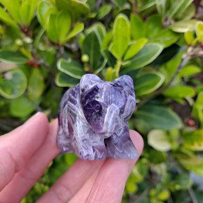 dream amethyst healing crystals hand carved bear dumiscrystals