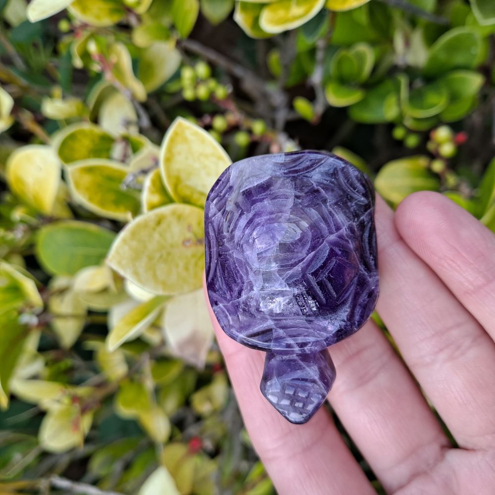 dream amethyst healing crystals hand carved tortoise dumiscrystals