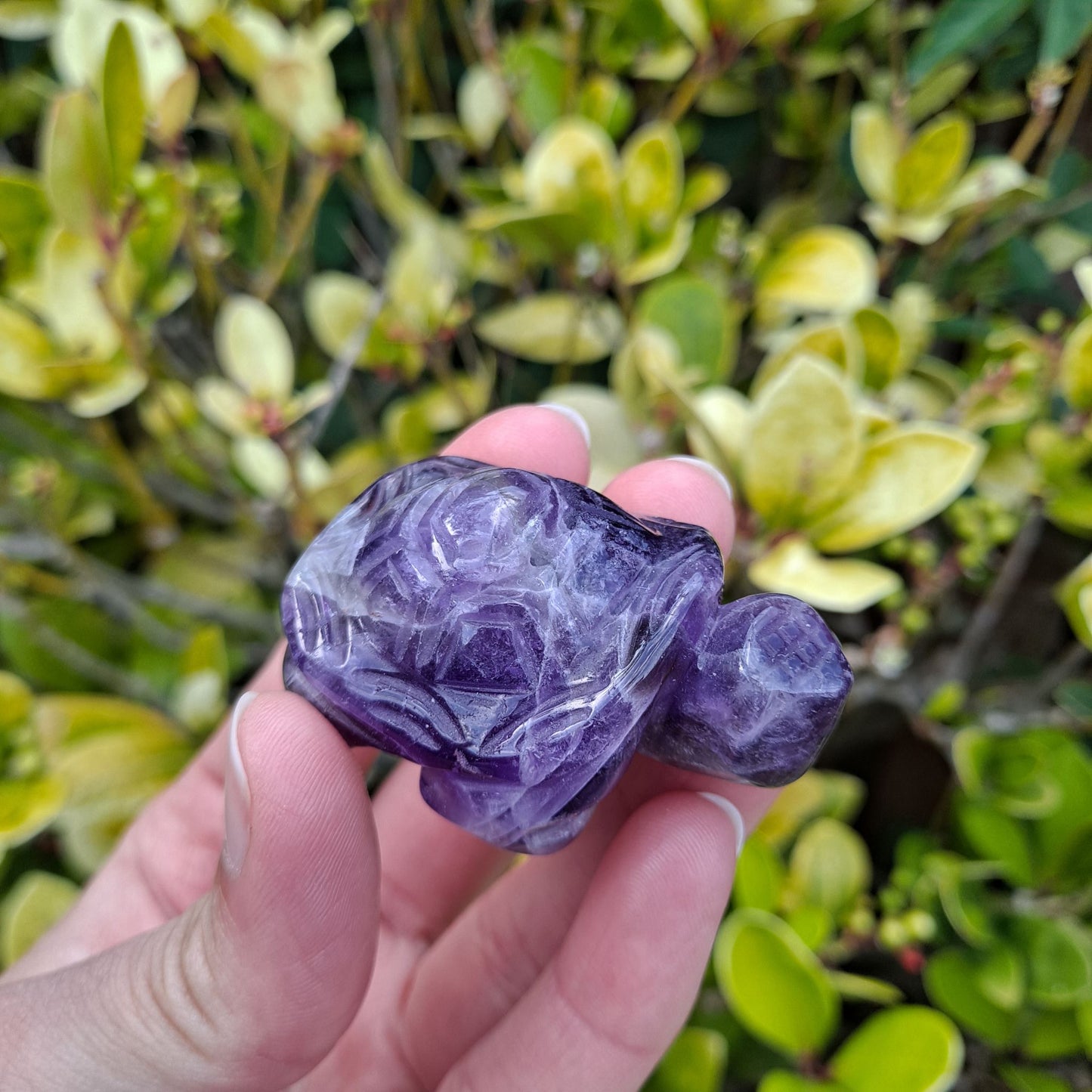 dream amethyst healing crystals hand carved tortoise dumiscrystals