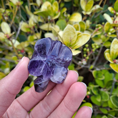 dream amethyst healing crystals hand carved tortoise dumiscrystals