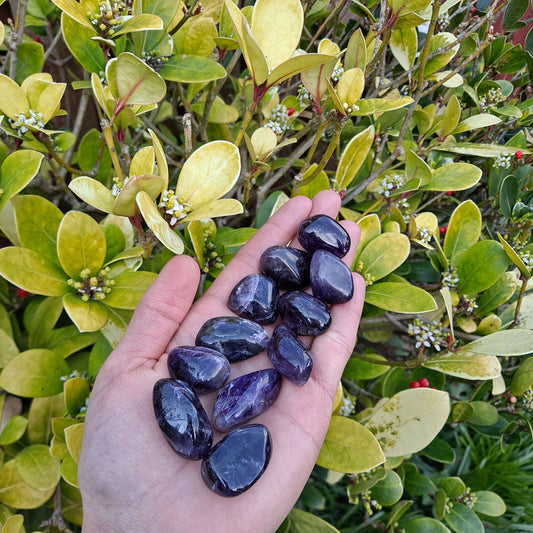 Dumi's Crystals | Dark Amethyst Tumbled Stone (Intuition & Awareness) | A Dark Amethyst Tumbled Stone gleams with deep purple hues. Renowned for stimulating intuition and psychic abilities, hold it during meditation or dream work to connect with your inner wisdom.