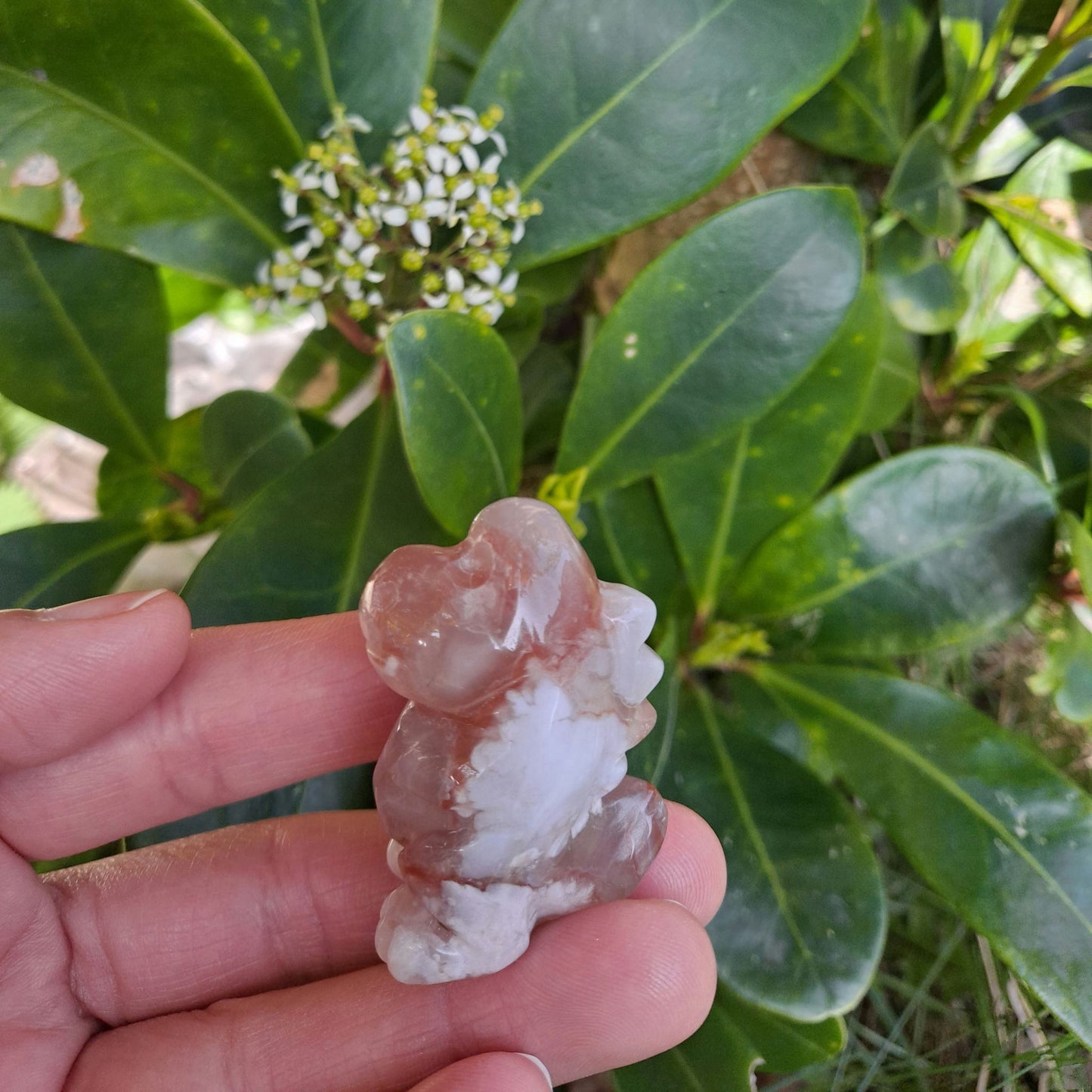 Dino Discovery: Dumi's Crystals Flower Agate Dinosaur Carving (40x30mm) ignites imagination & a love for the natural world. Unique variations in each dino.