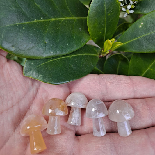 Dumi's Crystals Flower Agate Mushroom Carvings (20mm): A cluster of nurturing energy! Promote growth, new beginnings & nature's connection. 
