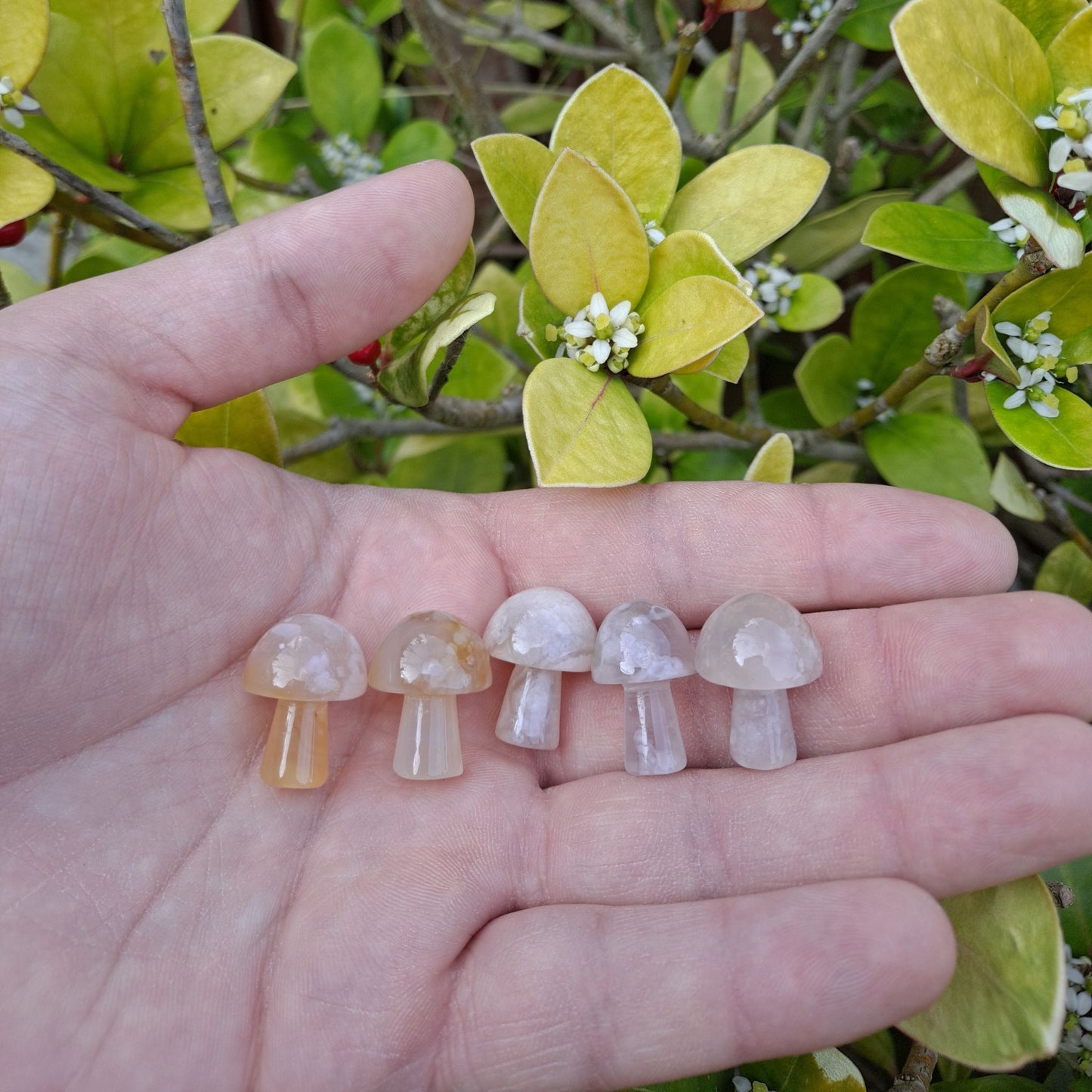 Pocket Forest: Dumi's Crystals Cherry Blossom Agate Mushroom Carvings (20mm) bring peace, transformation & a touch of magic wherever you go.