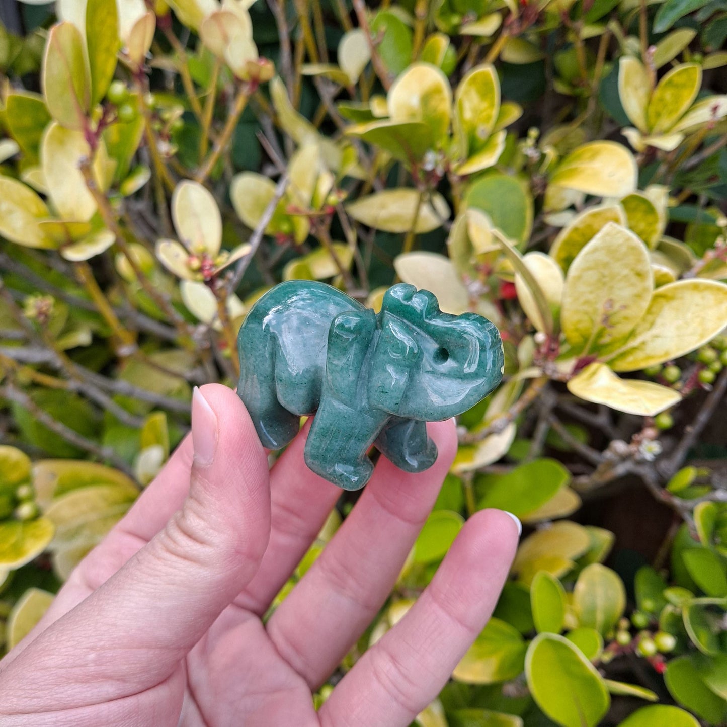 Dumi's Crystals | Green Aventurine Elephant Carving (Wise Companion): A Green Aventurine Elephant Carving, a symbol of wisdom and good luck. Hand-carved with captivating green hues, this elephant offers emotional balance & attracts abundance. Invite its positive energy into your life with Dumi's Crystals (ethically sourced).