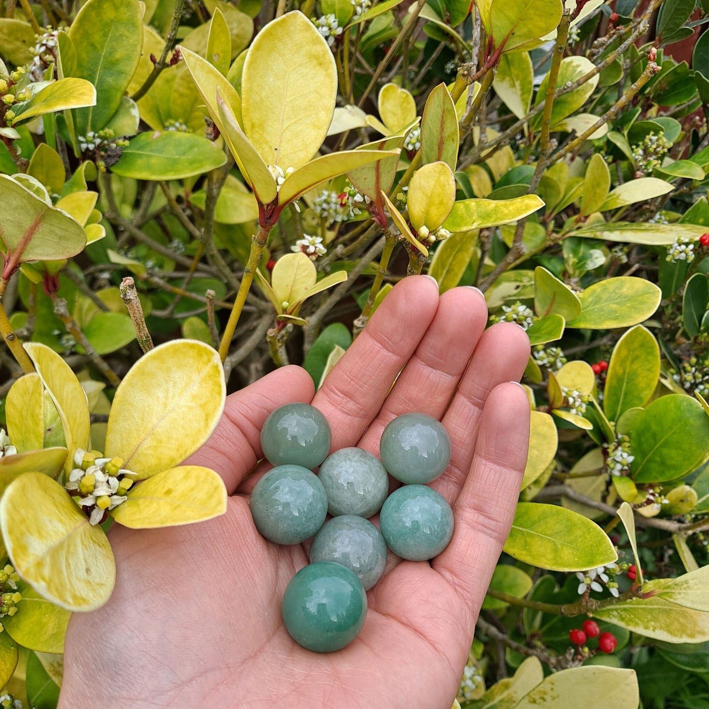 Dumi's Crystals | Green Aventurine Mini Spheres (20mm) | A collection of captivating Green Aventurine Mini Spheres, each displaying unique variations of vibrant green hues. These 20mm spheres are believed to promote peace, love, abundance, and emotional healing. Perfect for meditation, crystal grids, or carrying with you throughout the day.