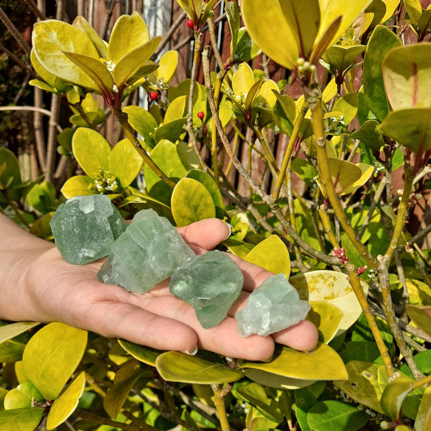 green fluorite rough stone crystal dumiscrystals