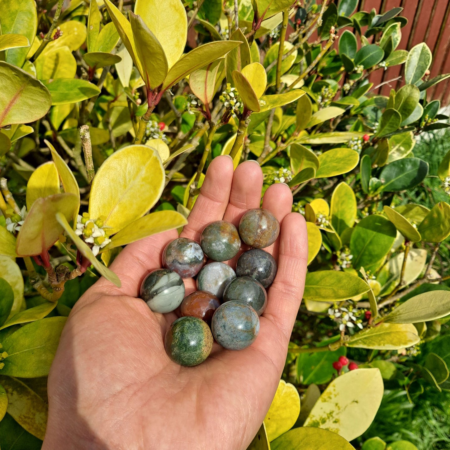 Dumi's Crystals | Indian Agate Mini Spheres (20mm) | A collection of captivating Indian Agate Mini Spheres, each displaying a variety of unique color combinations. These 20mm spheres are believed to promote harmony, balance, and inner strength. Perfect for meditation, crystal grids, or carrying with you throughout the day.