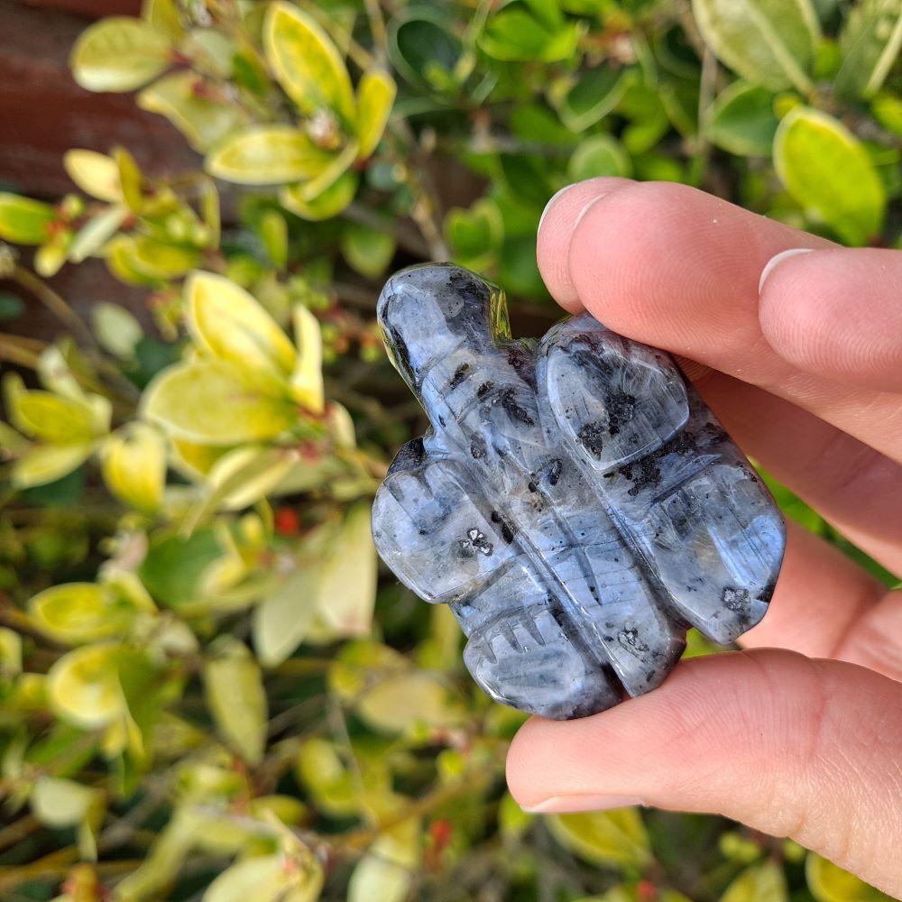A meticulously hand-carved Larvikite Crystal Tortoise, measuring 2 inches (5 cm) long. This genuine larvikite gemstone carving, also known as Norwegian Moonstone, is believed to offer grounding energy, protection, and promote inner wisdom. The tortoise symbolism represents longevity, patience, and perseverance, making it a perfect addition to a crystal collection or for those seeking spiritual growth.